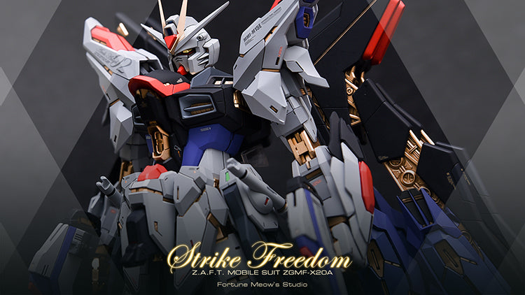 Fortune Meow’s 1/100 Strike Freedom Gundam Conversion Kit full set