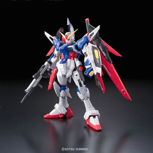 RG #11 Destiny Gundam  ZGMF-X42S