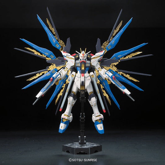 RG #14 STRIKE FREEDOM GUNDAM  ZGMF-X20A