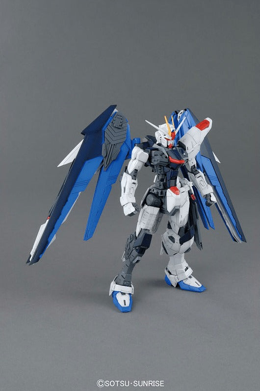 MG Freedom Gundam Ver 2.0
