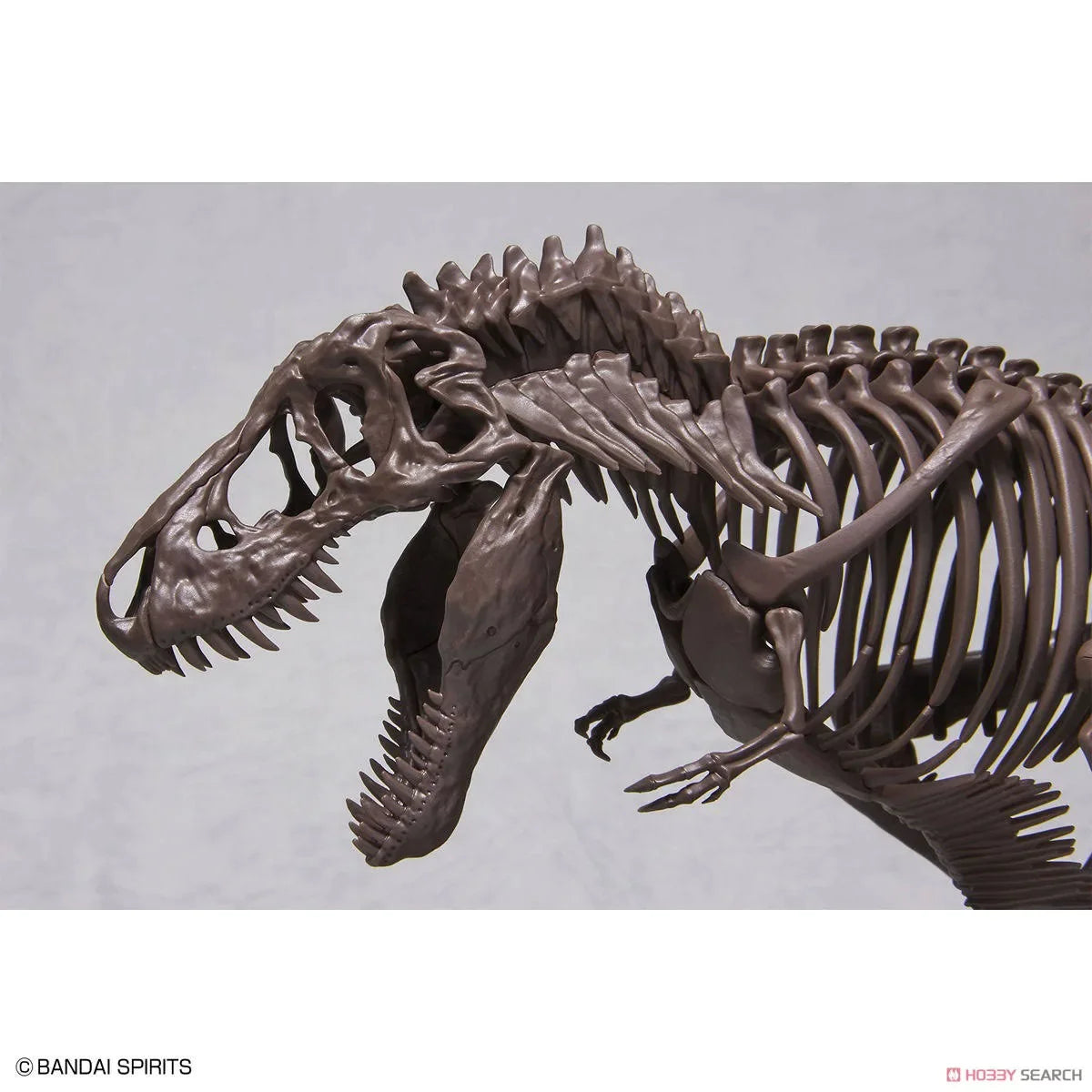 Imaginary Skeleton Tyrannosaurus 1/32 Scale Model Kit