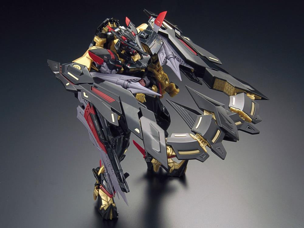 RG #24 Gundam Astray Gold Frame Amatsu Mina