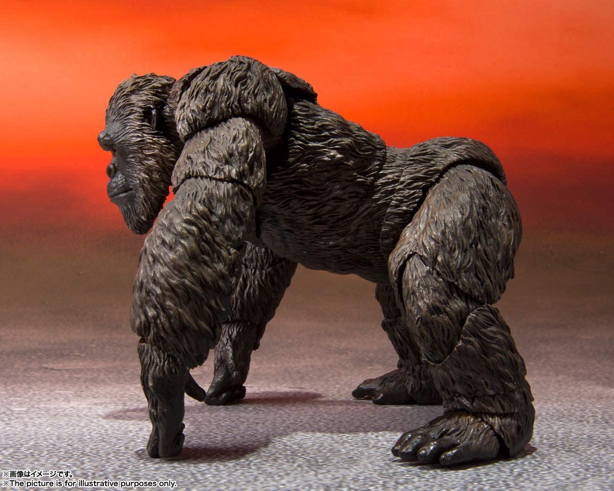 KONG from GODZILLA VS. KONG (2021), Bandai Spirits