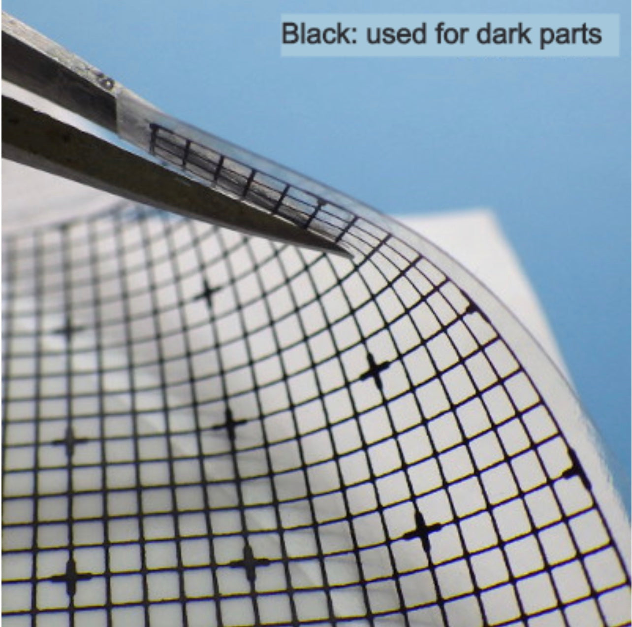 GUNPRIMER CUSTOM GUIDE CG-T (Transparent)