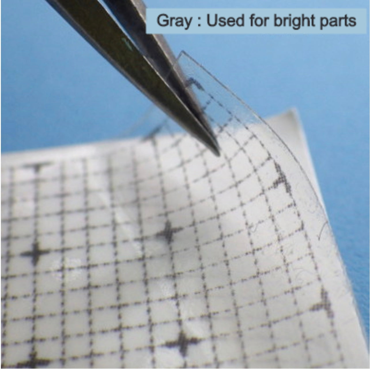 GUNPRIMER CUSTOM GUIDE CG-T (Transparent)