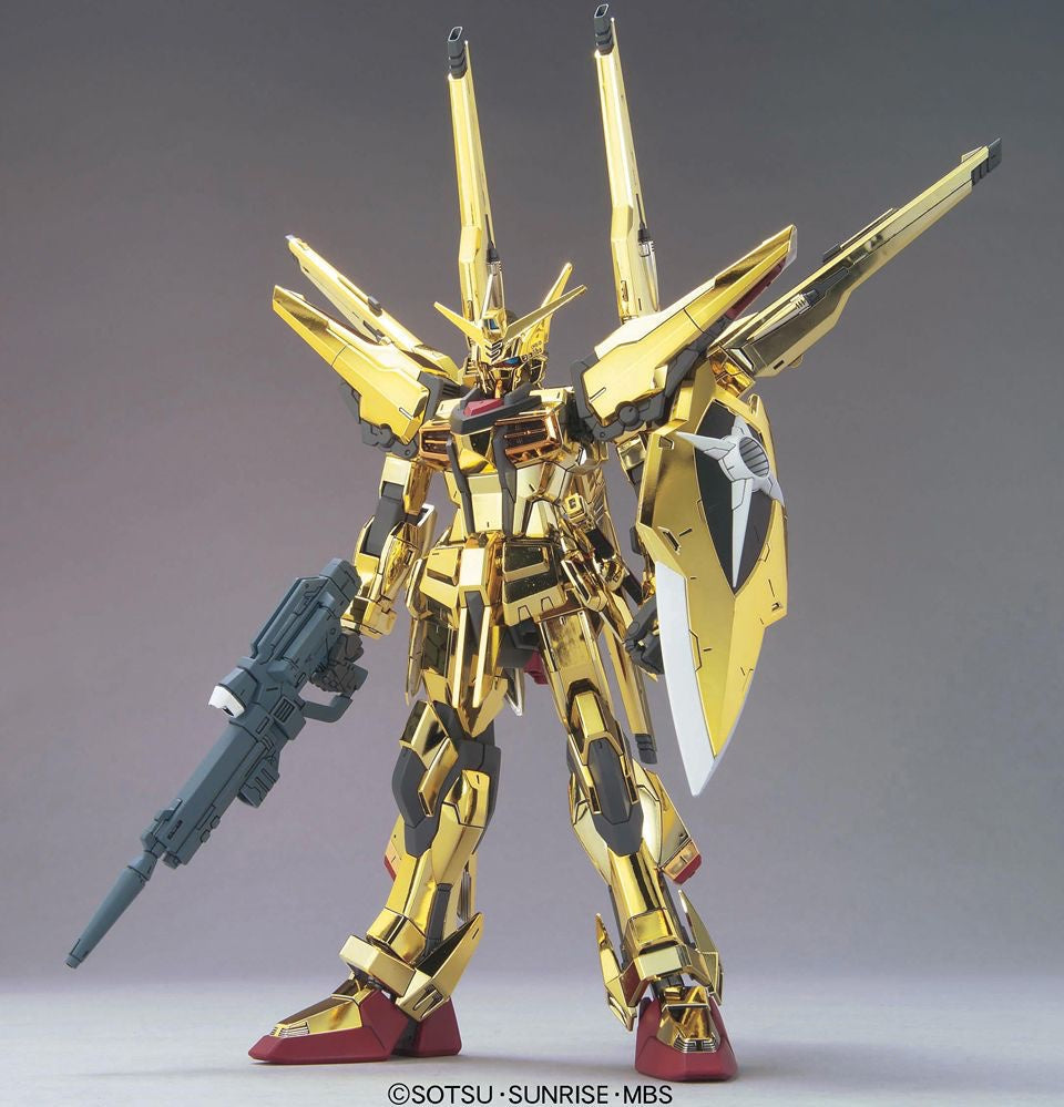 HG 1/100 #15 Akatsuki Oowashi/Shiranui