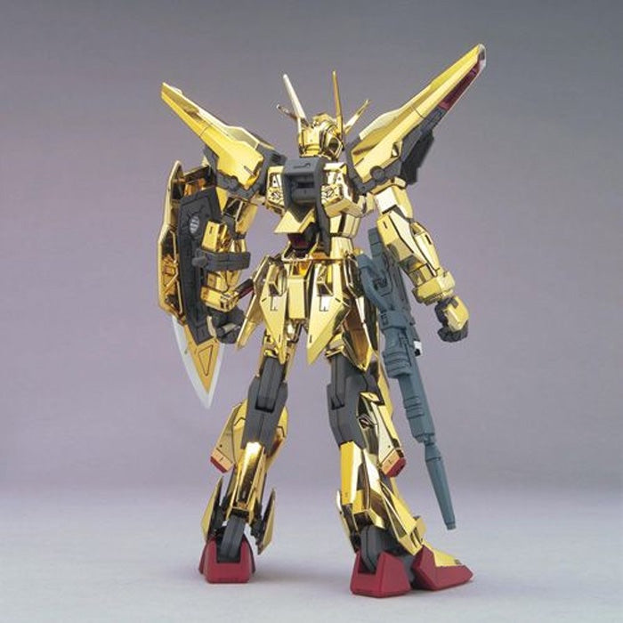HG 1/100 #15 Akatsuki Oowashi/Shiranui