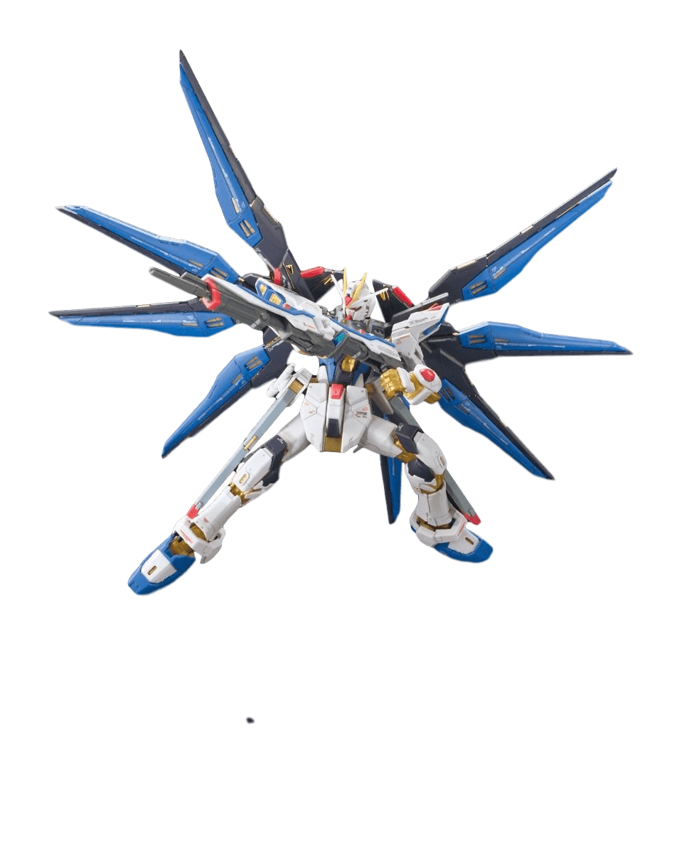 RG #14 STRIKE FREEDOM GUNDAM  ZGMF-X20A