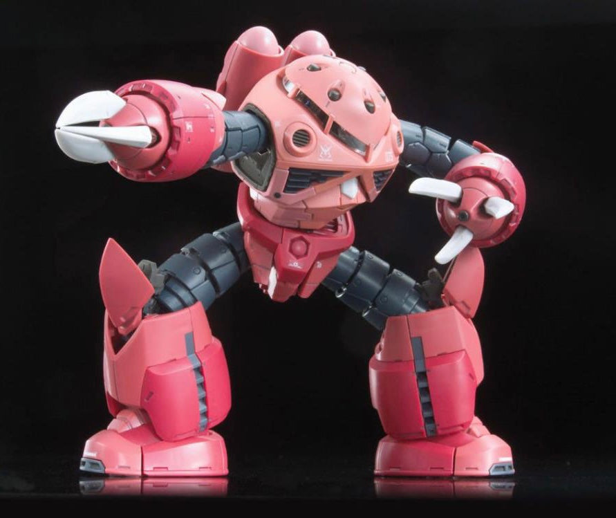 RG #16 MSM-07S Z'gok (Char's Custom)