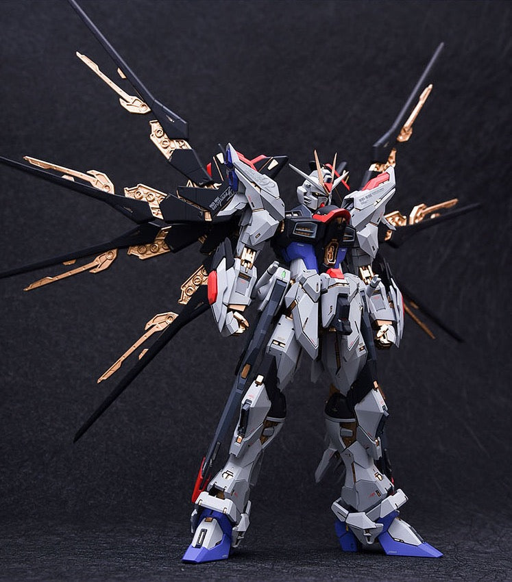 Fortune Meow’s 1/100 Strike Freedom Gundam Conversion Kit full set