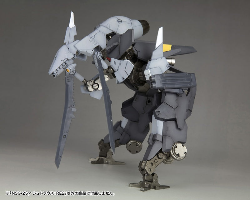 Frame Arms #10 NSG-25γ STRAUSS:RE2