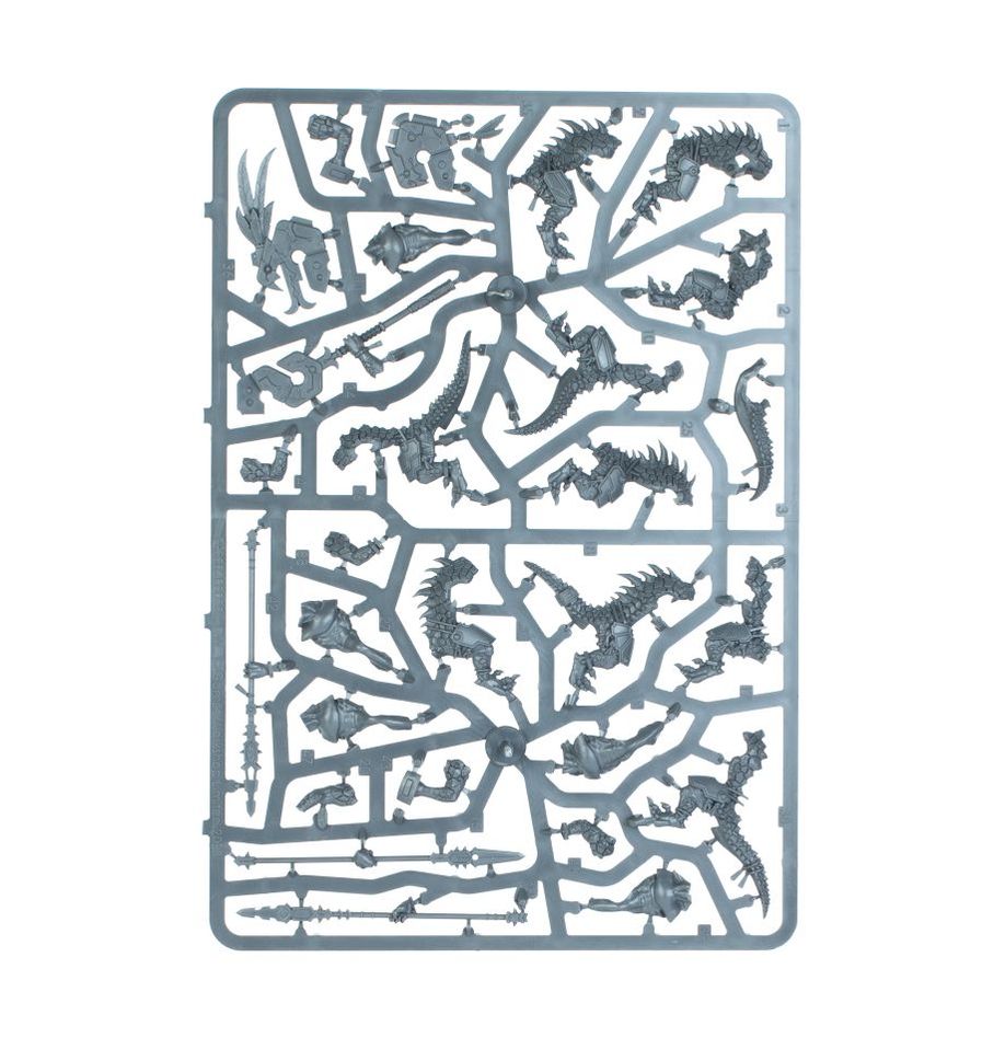 Warhammer Age of Sigmar Vanguard: Seraphon