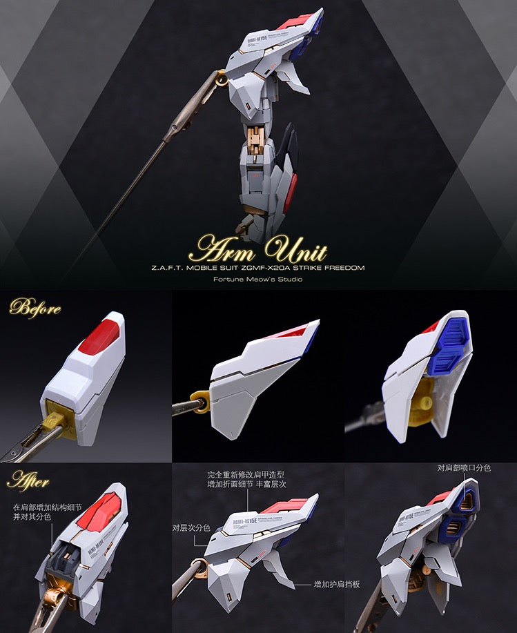 Fortune Meow’s 1/100 Strike Freedom Gundam Conversion Kit full set