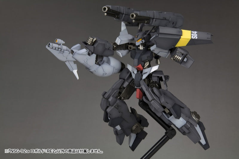 Frame Arms #10 NSG-25γ STRAUSS:RE2