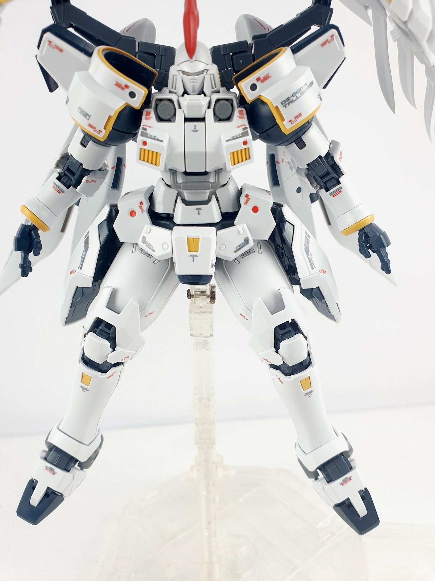 MG TALLGEESE FLUEGEL EW WATER DECAL