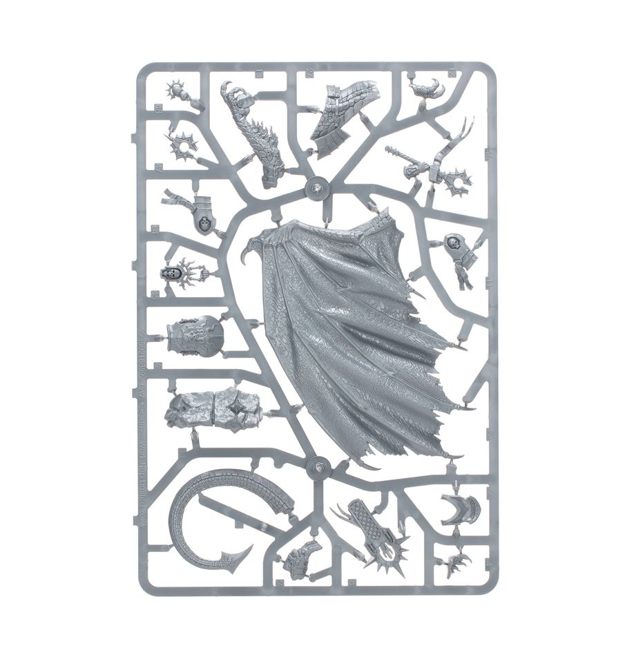 Warhammer Age of Sigmar Dawnbringers: STORMCAST ETERNALS - CRYPTBORN'S STORMWING