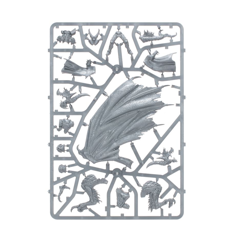 Warhammer Age of Sigmar Dawnbringers: STORMCAST ETERNALS - CRYPTBORN'S STORMWING