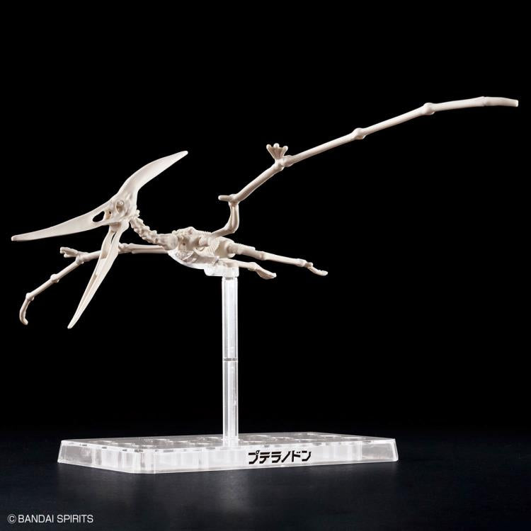 Plannosaurus Pteranodon Model Kit