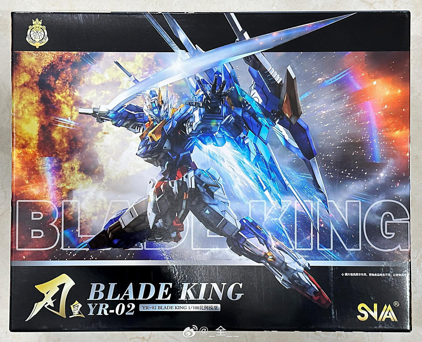 Super Nova Blade king 1/100 scale model kit (Third party)