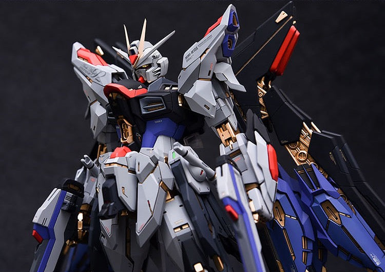 Fortune Meow’s 1/100 Strike Freedom Gundam Conversion Kit full set