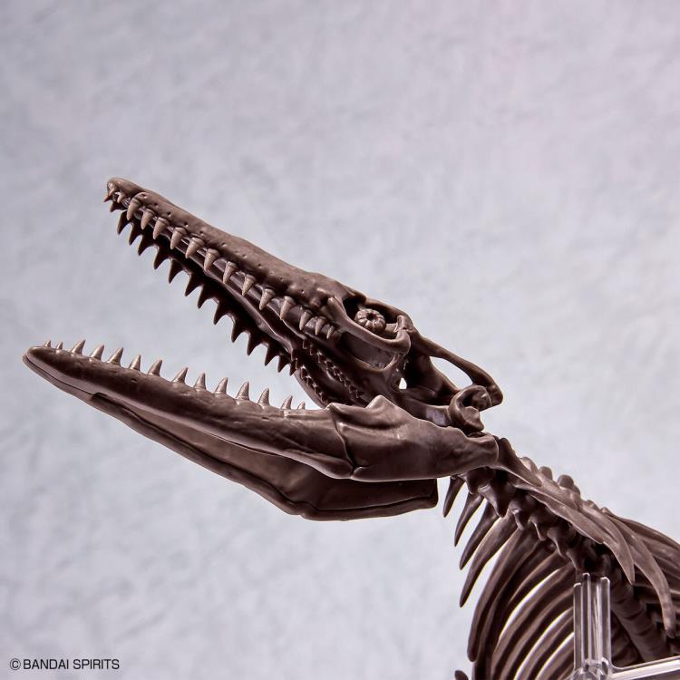 Imaginary Skeleton Mosasaurus 1/32 Scale Model Kit