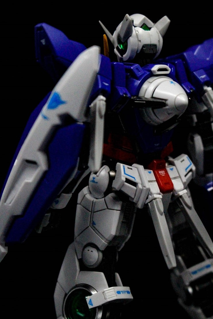 RG EXIA WATER DECAL