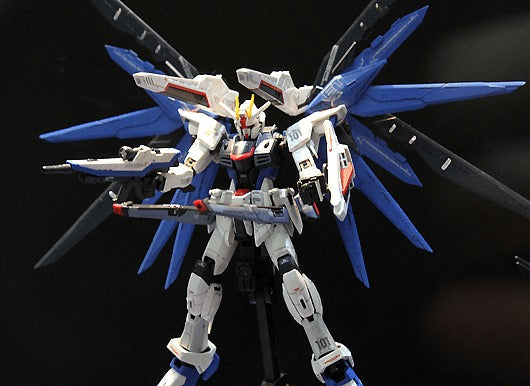 RG #05 Freedom Gundam ZGMF-X10A