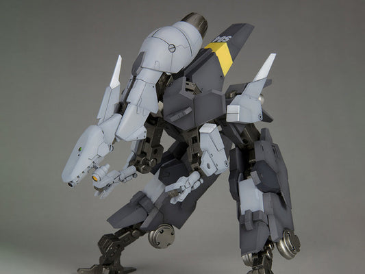 Frame Arms #10 NSG-25γ STRAUSS:RE2