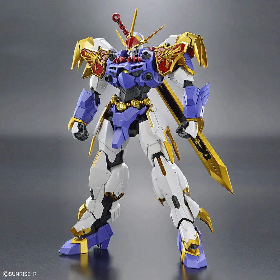 Mashin Hero Wataru HG Amplified IMGN Ryujinmaru