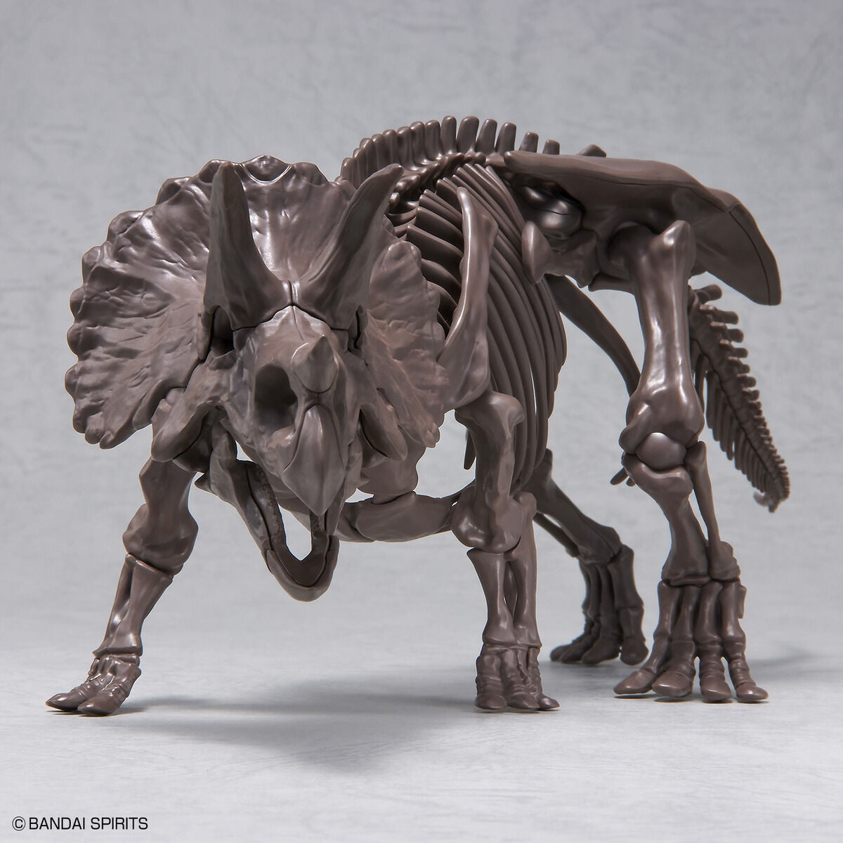 Imaginary Skeleton Triceratops 1/32 Scale Model Kit