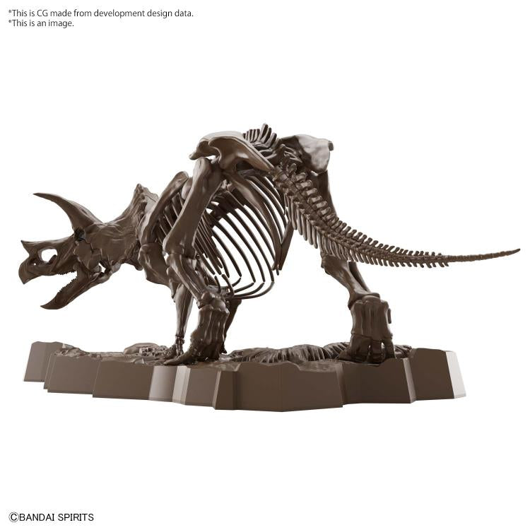 Imaginary Skeleton Triceratops 1/32 Scale Model Kit