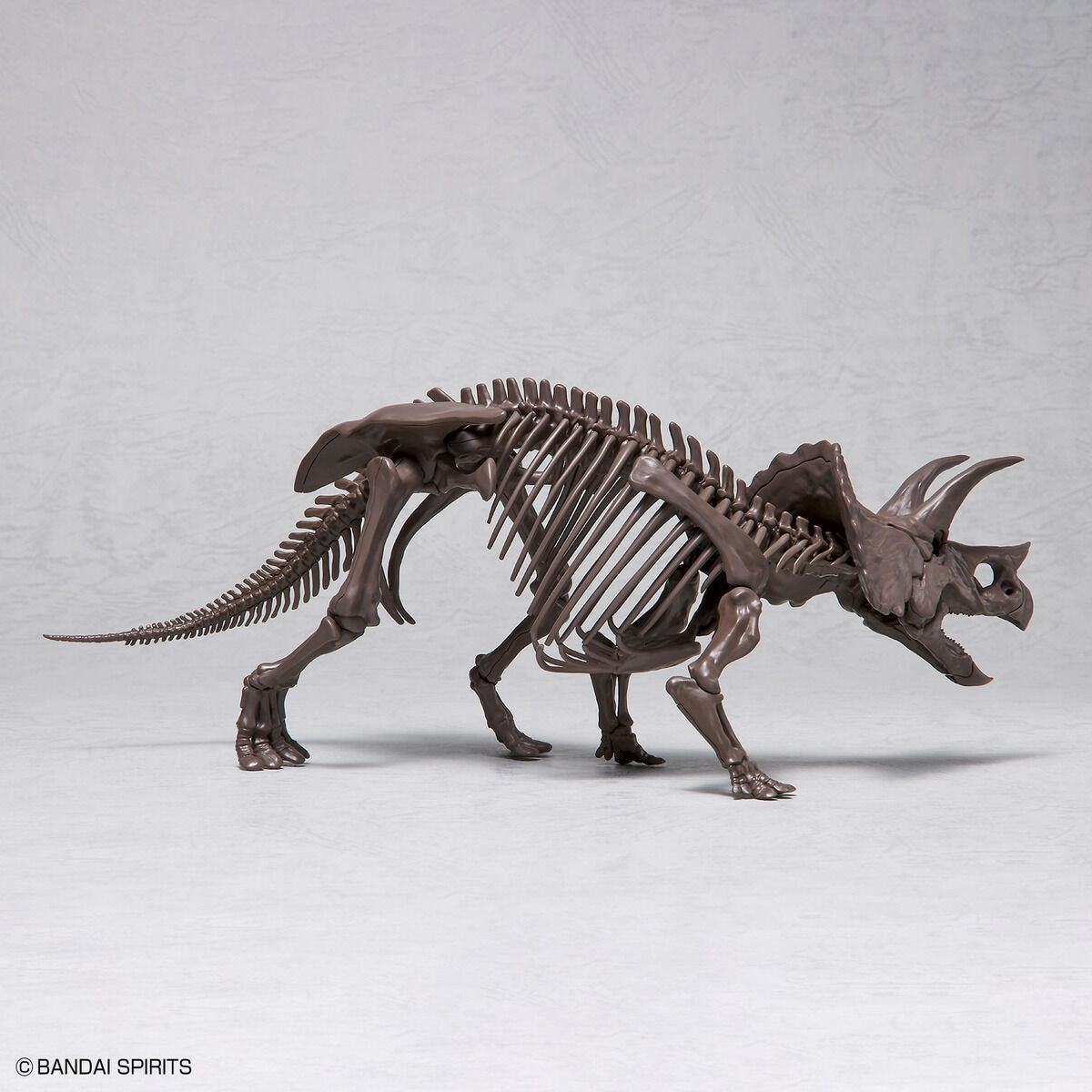 Imaginary Skeleton Triceratops 1/32 Scale Model Kit