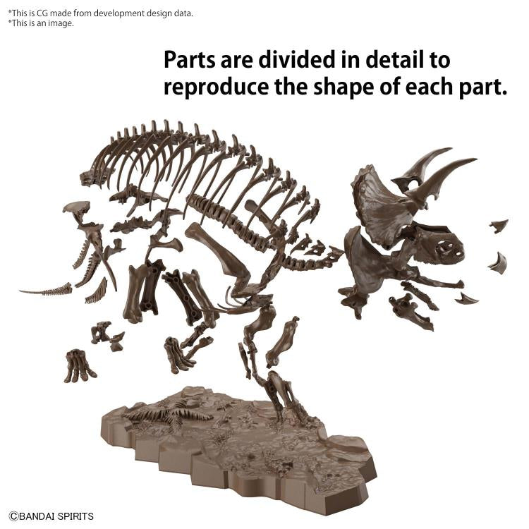 Imaginary Skeleton Triceratops 1/32 Scale Model Kit