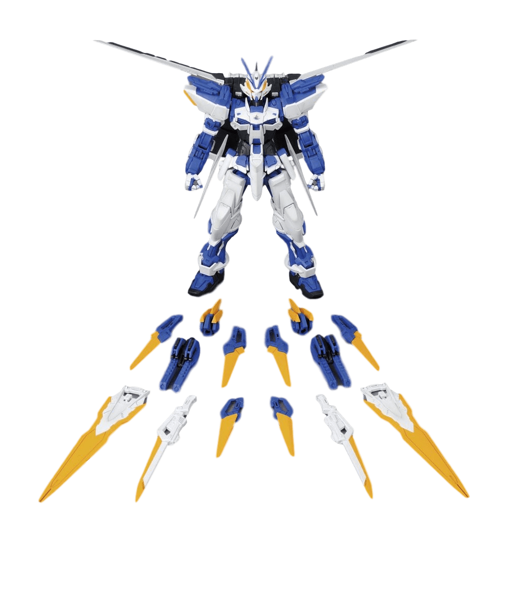 MG Gundam Astray Blue Frame D